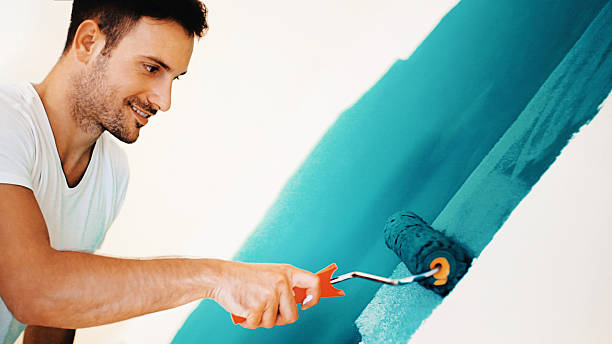 Best Drywall Sanding and Smoothing  in Westvle, IL